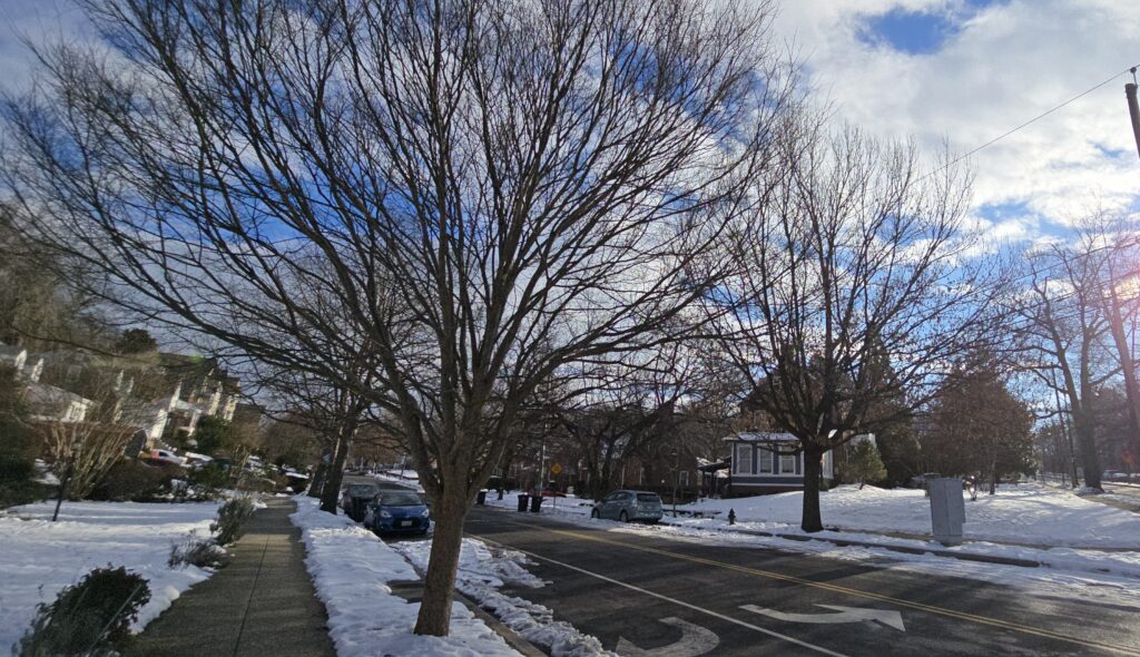 Penn Branch digs out from our first snow storm of 2025