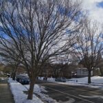 Penn Branch digs out from our first snow storm of 2025