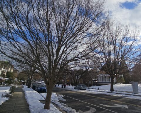 Penn Branch digs out from our first snow storm of 2025